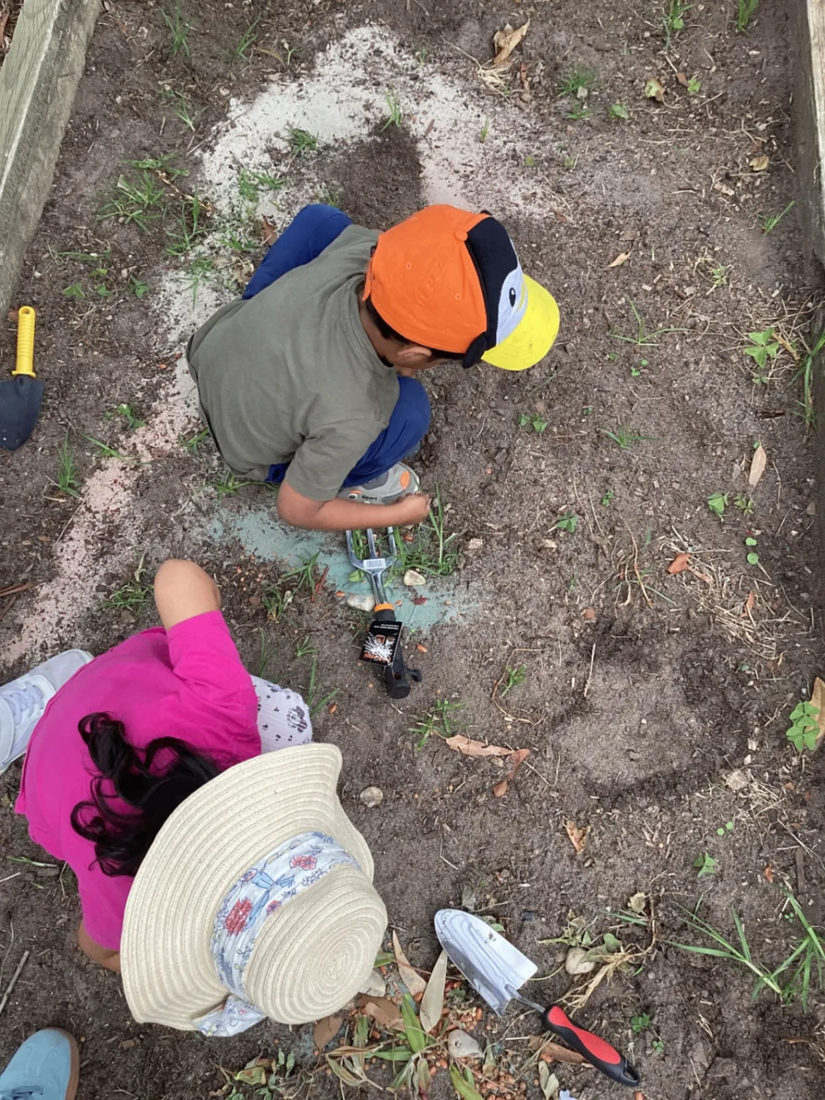Outdoor Gardening & Sustainability