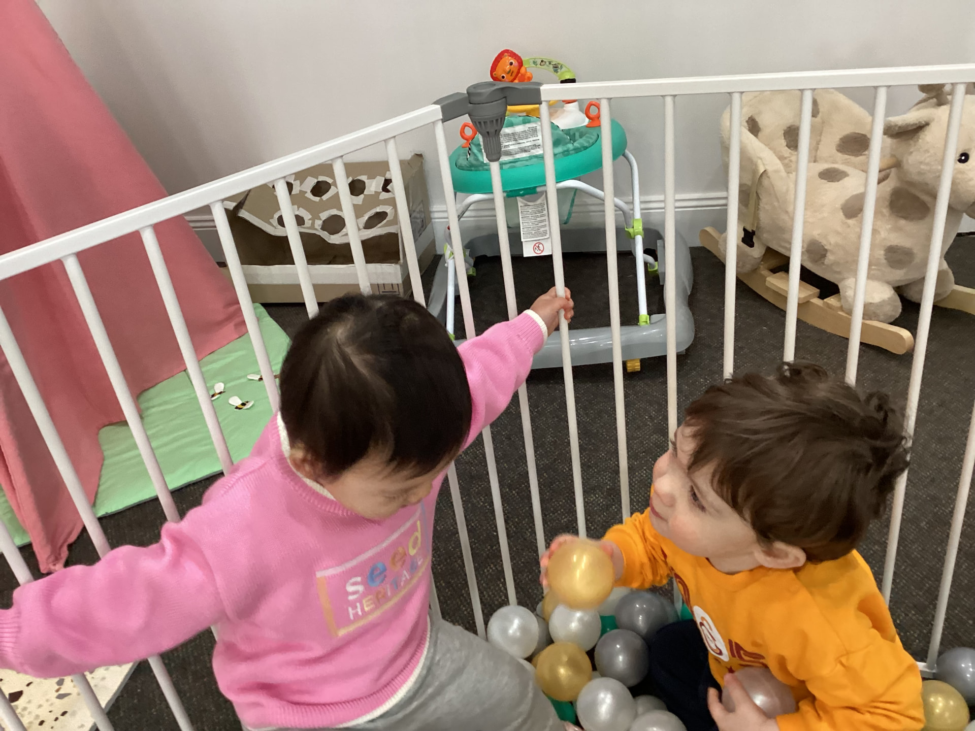 Social play in the ball pit